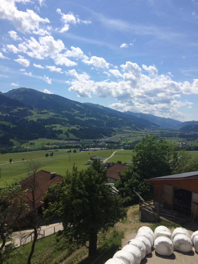 Appartement Doeringerhof Aich  Zewnętrze zdjęcie